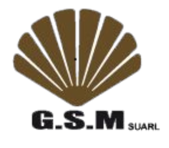 Cabinet GSM